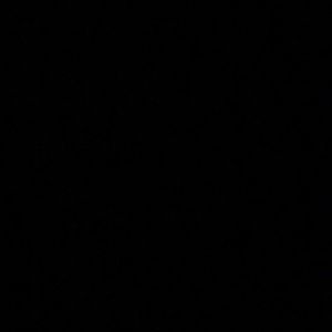 Meet your Posher, Jade